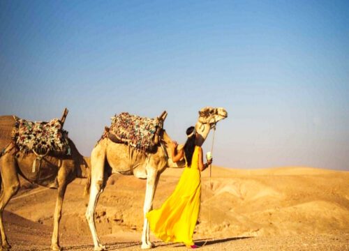 Sunset Camel Ride in Agafay Desert